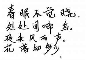 Chinese Poem